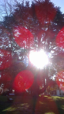 El Sol se hizo presente y nos regaló el mejor Mandala!