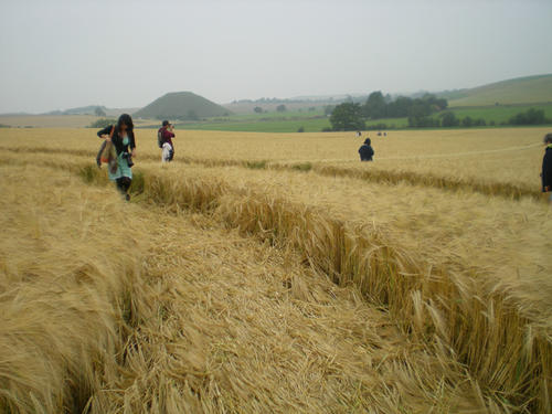 Crop Circles